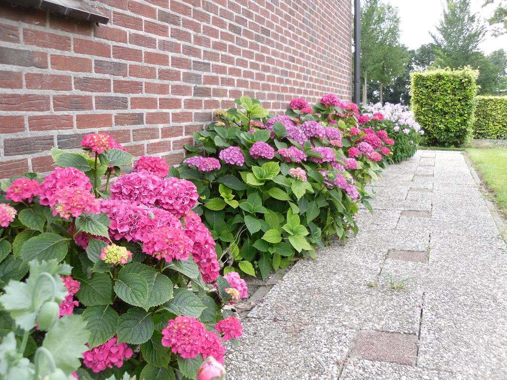 Nicolaashoeve Beemster Bed and Breakfast Noordbeemster Esterno foto